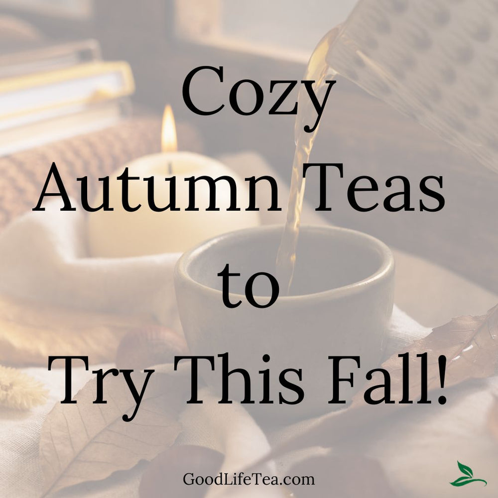 Cozy Autumn Teas to Try This Fall: Perfect Pairings for Every Seasonal Activity