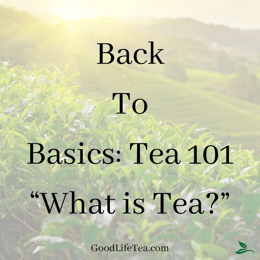 What is Tea Made Of?