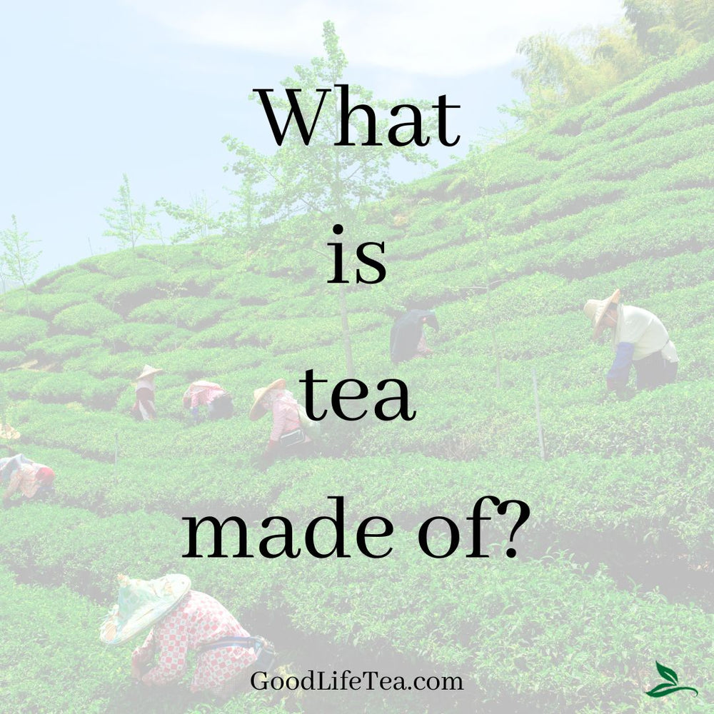 What is tea made of?