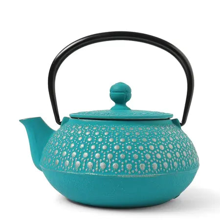 Turquoise Cast Iron Teapot